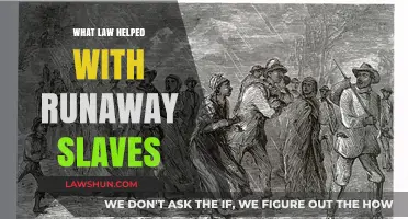 Freedom's Pursuit: The Impact of the Fugitive Slave Act