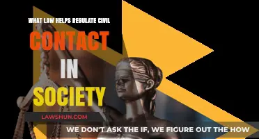 Understanding the Role of Contract Law in Civil Society Regulation
