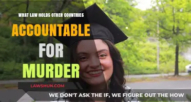 Global Justice: Laws Holding Nations Accountable for International Murder Cases