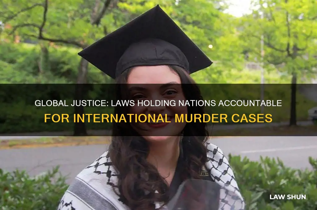 what law holds other countries accountable for murder