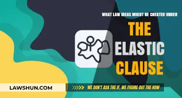 Exploring Elastic Clause: Potential for New Laws