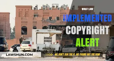 Understanding Title 17: A Comprehensive Guide To U.S. Copyright Law ...