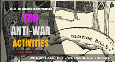 Harsh Penalties for Anti-War Activities: The Sedition Act Explained