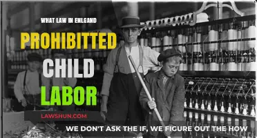 Ending Child Labor: England’s Landmark Law Explained