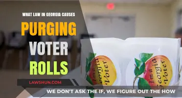 Georgia's Voter Roll Purge Law: Understanding Exact Match Requirements