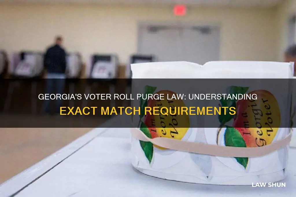 what law in georgia causes purging voter rolls