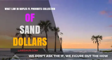 Naples, FL Sand Dollar Collection Ban: Understanding Local Environmental Laws