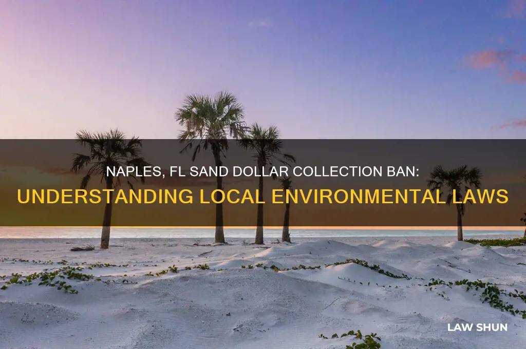 what law in naples fl phohibits collection of sand dollars
