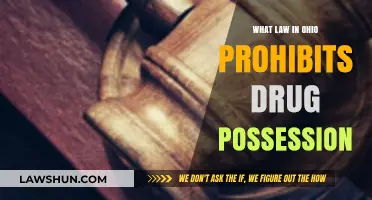 Ohio's Controlled Substances Act: Understanding Drug Possession Laws
