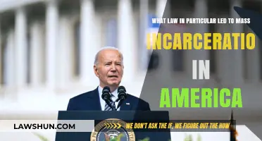 The 1994 Crime Bill: Catalyst for Mass Incarceration in America