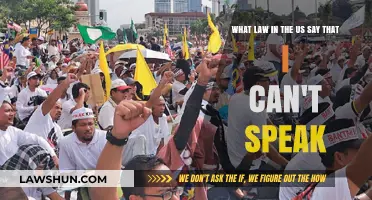 The Right to Speak: US Laws Explained