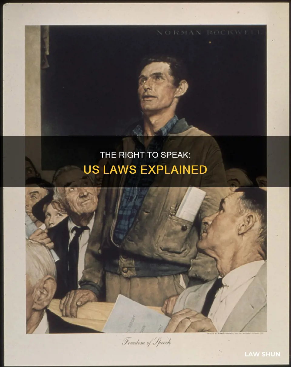 what law in the us say that i can