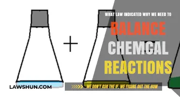 Balancing Chemical Reactions: The Law of Conservation of Mass Explained