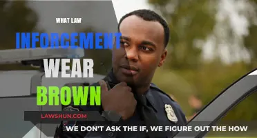 Why Do Some Law Enforcement Officers Wear Brown Uniforms?