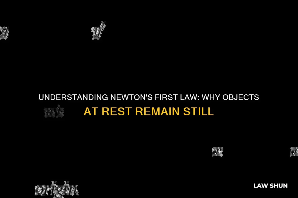 what law is an object at rest stays at rest