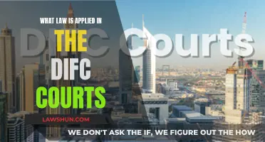 Jurisdiction Focus: DIFC Court Laws Explained