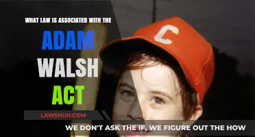 Understanding the Adam Walsh Act: Key Legal Provisions Explained