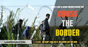 Crossing Borders Illegally: Understanding the Legal Consequences and Violations