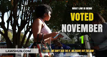 Key Legal Measures Up for Public Vote on November 1st