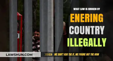 Illegal Entry: Understanding the Laws Violated by Unauthorized Border Crossing