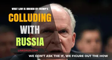 Trump-Russia Collusion: Unraveling Potential Legal Violations and Implications
