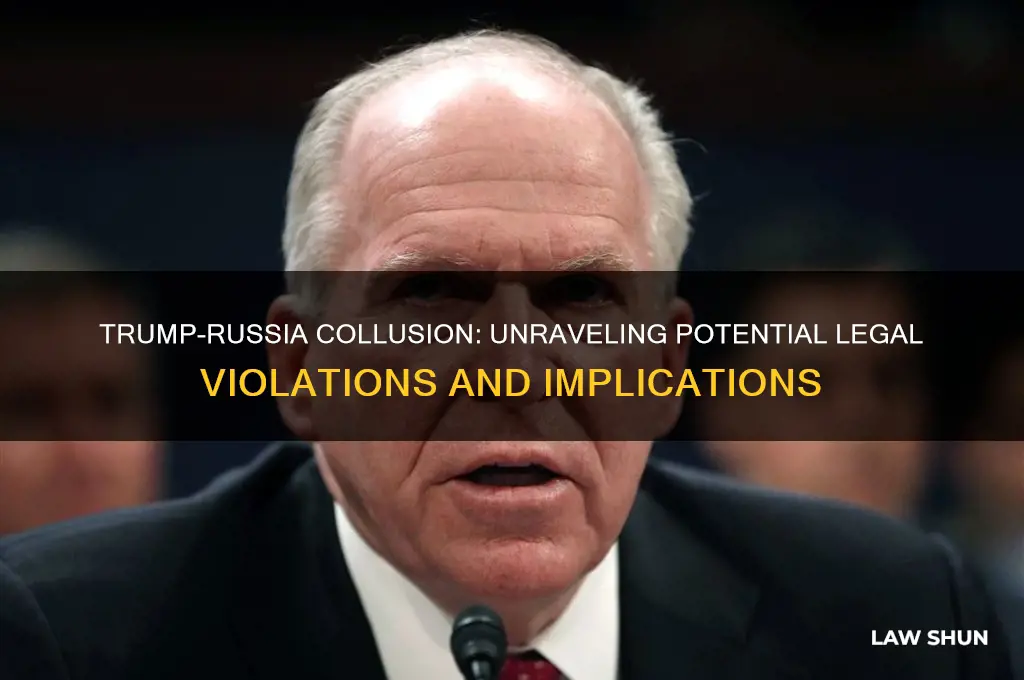 what law is broken by trump