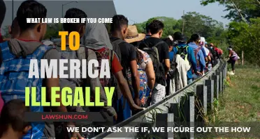 Illegal Entry to America: Understanding the Violated Immigration Laws