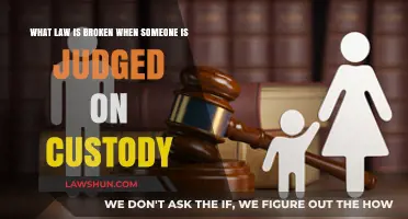 Custody Battles: Understanding Legal Violations in Parental Judgment Cases