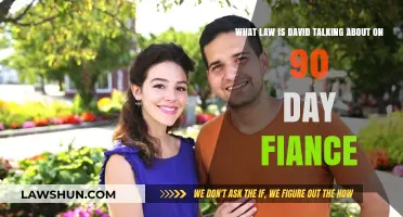 David's Legal Reference on 90 Day Fiancé: Which Law Was Mentioned?