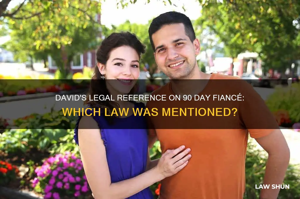 what law is david talking about on 90 day fiance