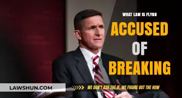 Flynn's Legal Missteps: Unraveling the Charges