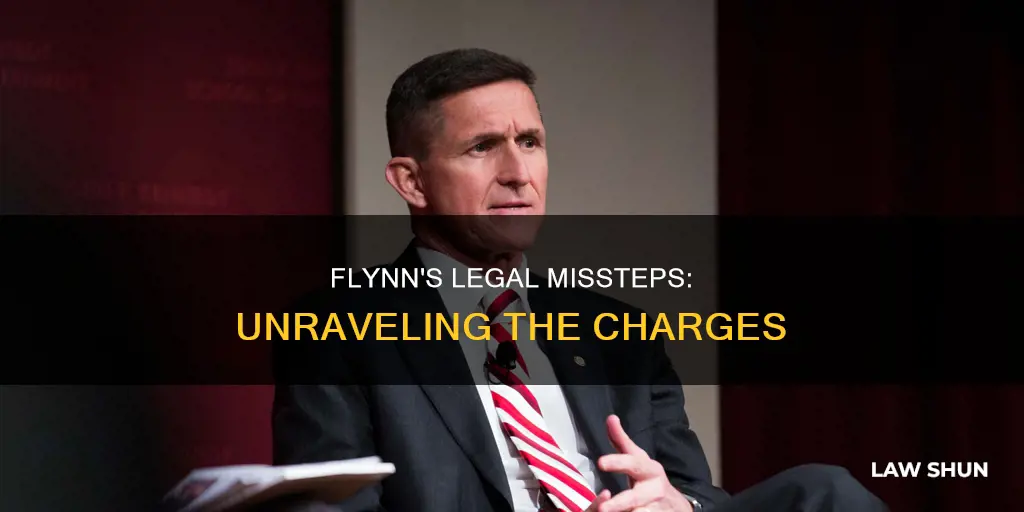 what law is flynn accused of breaking