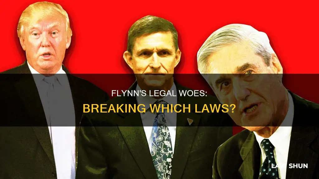 what law is flynn accused of breaking