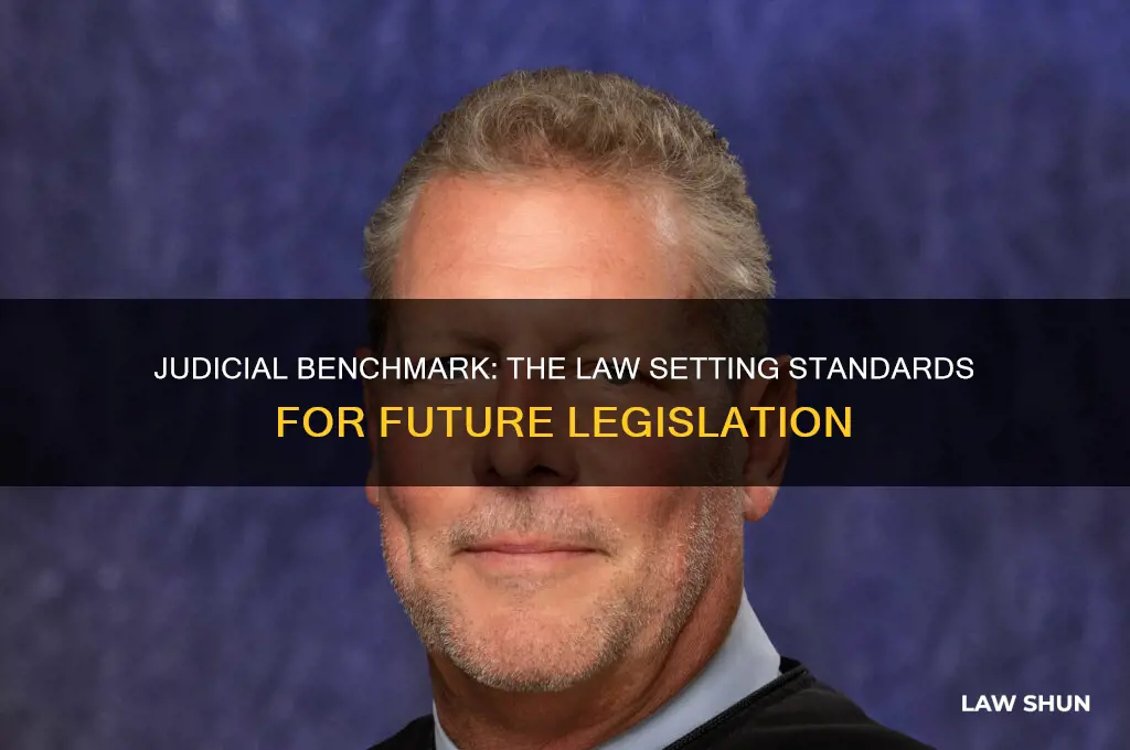 what law is ised as a standard against future laws