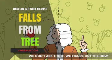 When Apples Fall: Exploring the Law of Gravity's Legal Implications