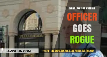 When Officers Go Rogue: Understanding the Legal Consequences and Accountability
