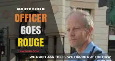 When Cops Cross the Line: Understanding Rogue Officer Legal Consequences