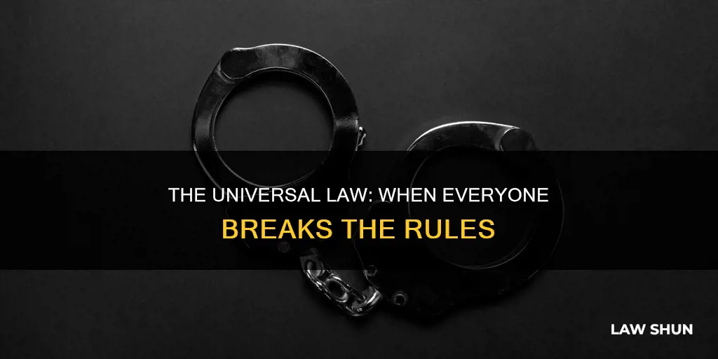 what law is it when everyone breaks