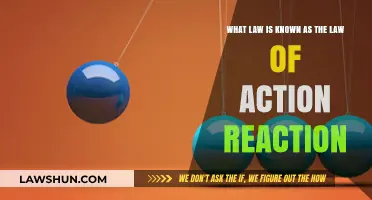 Newton's Third Law: Understanding the Science Behind Action and Reaction