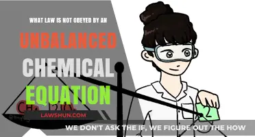 Unbalanced Chemical Equations: Violating the Law of Conservation of Mass