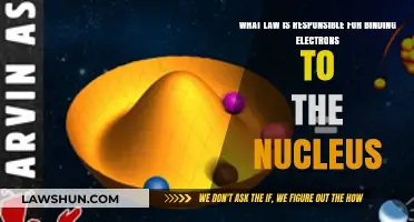The Electromagnetic Force: Binding Electrons to the Nucleus in Atoms