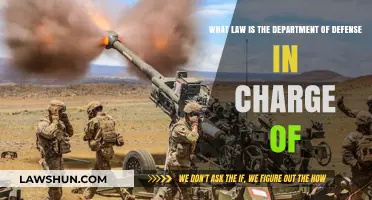 Understanding the Department of Defense's Legal Authority and Responsibilities