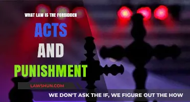Understanding Forbidden Acts: Legal Boundaries and Their Punishments Explained