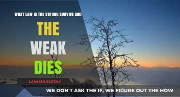 Survival of the Fittest: Exploring the Law of Natural Selection