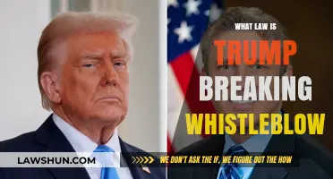 Unveiling Trump's Potential Lawbreaking: A Whistleblower's Revelation