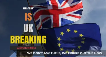 UK's Brexit Deal: A Breach of International Law?