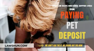 Emotional Support Dogs: Legal Exemptions from Pet Deposits Explained