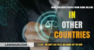 International Laws Protecting Lives: Preventing Killings Across Borders