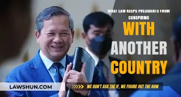 Preventing Presidential Collusion: The Law Against Foreign Conspiracy Explained