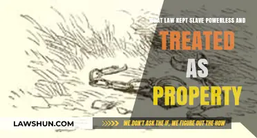 The Fugitive Slave Act: How Law Enforced Slavery and Oppression